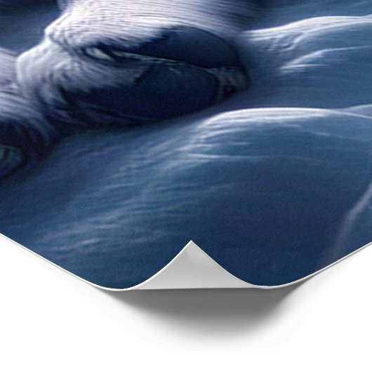 イーサリーボンド白い狼の休息 ポスター (角)