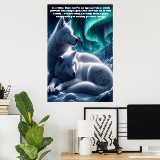 イーサリーボンド白い狼の休息 ポスター (ホームオフィス)