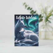 イーサリーボンド白い狼の休息 ポストカード (スタンド正面)