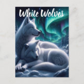 イーサリーボンド白い狼の休息 ポストカード (正面)