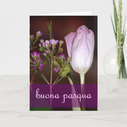 イースイタリアンターカード シーズンカード (正面)