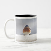 イースタはっきりしたンブルーバード ツートーンマグカップ (左)