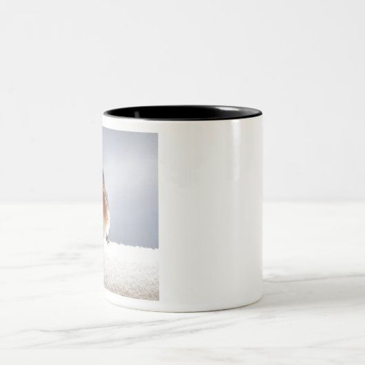 イースタはっきりしたンブルーバード ツートーンマグカップ (中央)