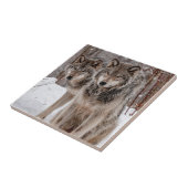 イースタングレーウルフ タイル (側面)