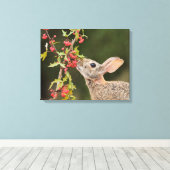 イースタンコットンテール |南テキサス州 キャンバスプリント (インサイチュ (ウッドフロア))