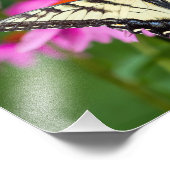 イースタンタイガーアゲハチョウバタフライオンコンフロアー フォトプリント            (角)