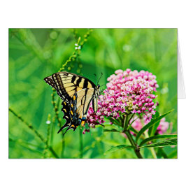 イースタンタイガーアゲハチョウバタフライ