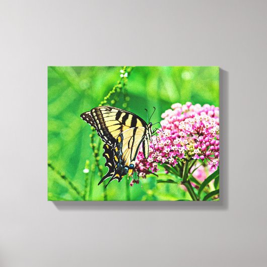 イースタンタイガーアゲハチョウバタフライ キャンバスプリント (正面)