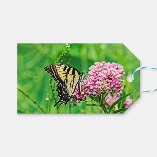 イースタンタイガーアゲハチョウバタフライ ギフトタグ (正面(横))
