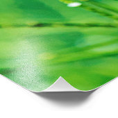 イースタンタイガーアゲハチョウバタフライ フォトプリント (角)