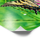 イースタンタイガーアゲハチョウバタフライ フォトプリント            (角)