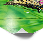 イースタンタイガーアゲハチョウバタフライ フォトプリント            (角)