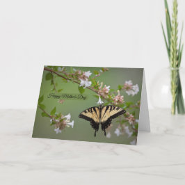 イースタンタイガーアゲハチョウマザーズデイカード カード