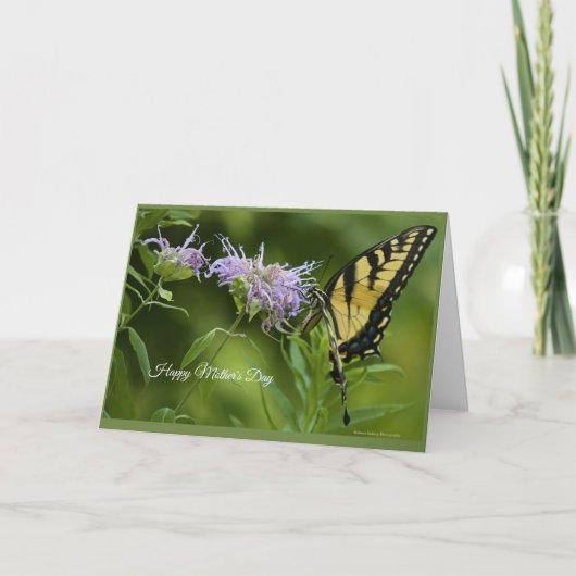 イースタンタイガーアゲハチョウマザーズデイカード カード (正面)