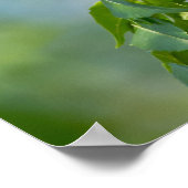 イースタンタイガーアゲハチョウ中国ベリーツリーポスター ポスター (角)