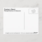 イースタンネット ポストカード (裏面)