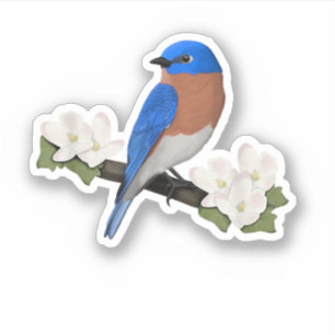 イースタンブルーバード 鳥 鳥好き バードウォッチャー 動物 シール