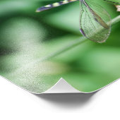 イースタンポンドホークドラゴンフライプリント フォトプリント            (角)