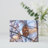 イースタンレッドこうもり ポストカード (スタンド正面)