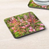 イースタン岬、バグルリリー（ワトソニア）フラワー コースター (左側)