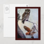 イースタン・スクリーチ・オウルズ ポストカード (正面/裏面)