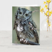 イースタン·スクリーチ·フクロウ·カード カード (黄色い花)