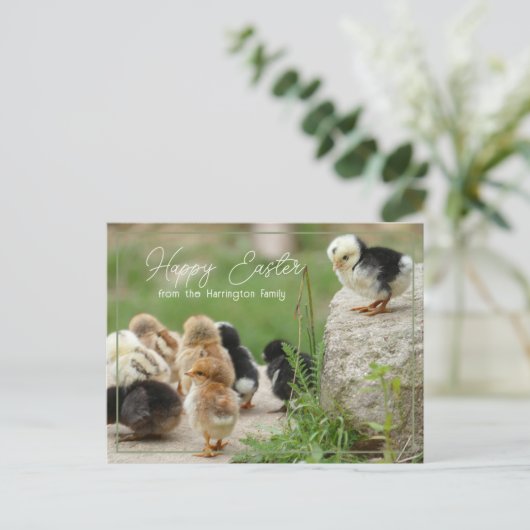イースターおめでとう かわいい赤ちゃんニワトリのパレードだよ ポストカード (スタンド正面)