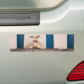 イースターおもしろいバニー バンパーステッカー (車上)