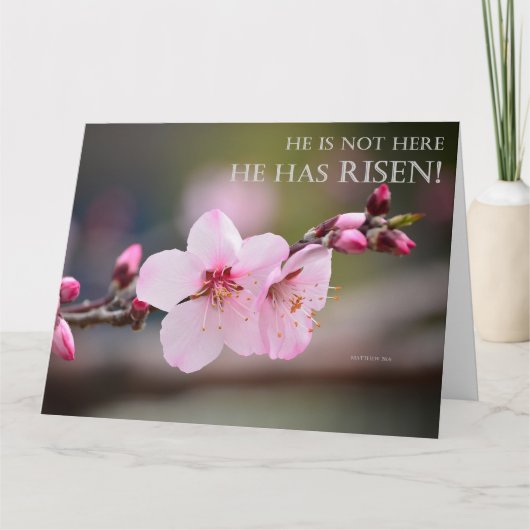 イースターさくらんぼの花マタイ28:6 カード (正面)