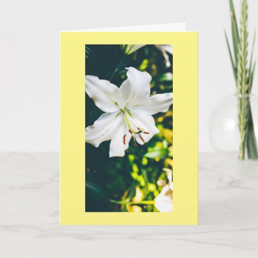 イースターに来て希望と希望を持った カード (正面)