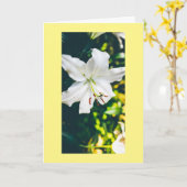 イースターに来て希望と希望を持った カード (黄色い花)