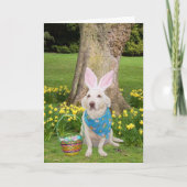 イースターのあなたの考えること シーズンカード (正面)