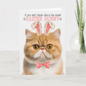 イースターのためのエキゾチックなショートエアオレンジキャットバニー耳 シーズンカード (正面)