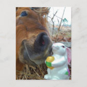 イースターのウサギおよびブラウンの馬 シーズンポストカード (正面)