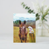 イースターのウサギおよびブラウンの馬 シーズンポストカード (スタンド正面)