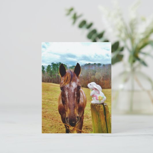 イースターのウサギおよびブラウンの馬 シーズンポストカード (スタンド正面)