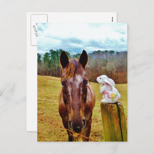 イースターのウサギおよびブラウンの馬 シーズンポストカード (正面/裏面)