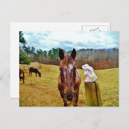 イースターのウサギおよびブラウンの馬 シーズンポストカード (正面/裏面)