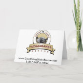 イースターのウサギか。 Bahの詐欺! シーズンカード (裏面)