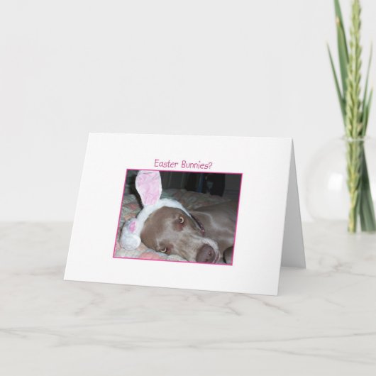 イースターのウサギか。 Bahの詐欺! シーズンカード (正面)