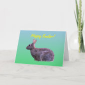 イースターのウサギさん カード (正面)