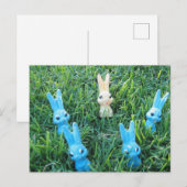 イースターのウサギのポストカード シーズンポストカード (正面/裏面)