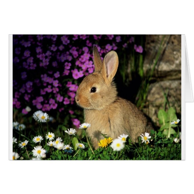 イースターのウサギ (正面横)