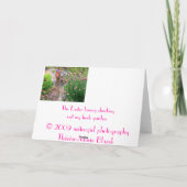 イースターのウサギ シーズンカード (裏面)