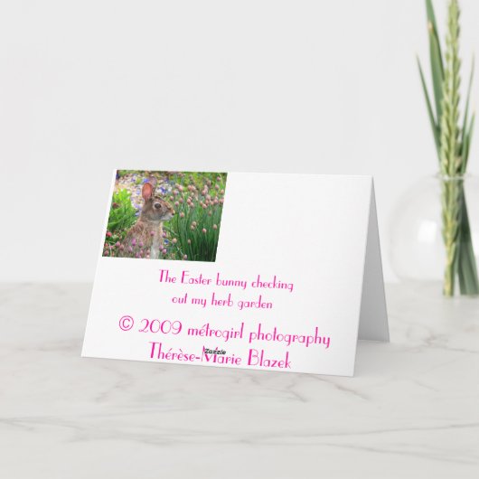 イースターのウサギ シーズンカード (裏面)