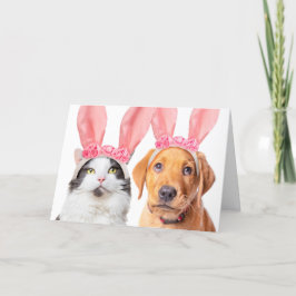 イースターのキュートな猫と子犬のウサギ耳 シーズンカード