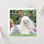 イースターのプードル犬のフラットカード カード (正面/裏面インサイチュ)