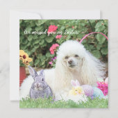 イースターのプードル犬のフラットカード カード (正面)