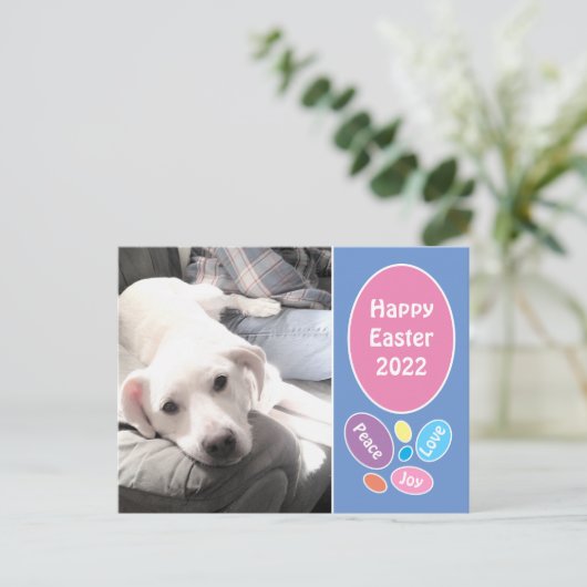イースターの卵を持つかわいい白い子犬のパパの写真 シーズンポストカード (スタンド正面)