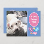 イースターの卵を持つかわいい白い子犬のパパの写真 シーズンポストカード (正面/裏面)